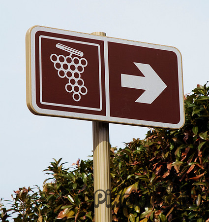 This Way to the Winery