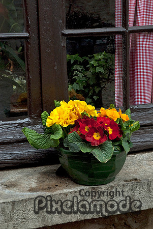 Perouge Window Sill