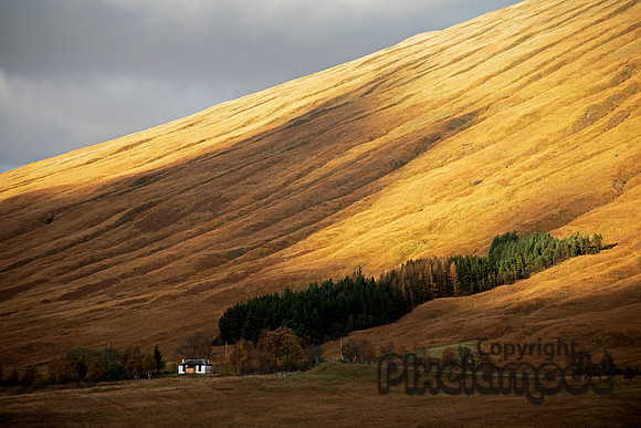 The Highlands 1
