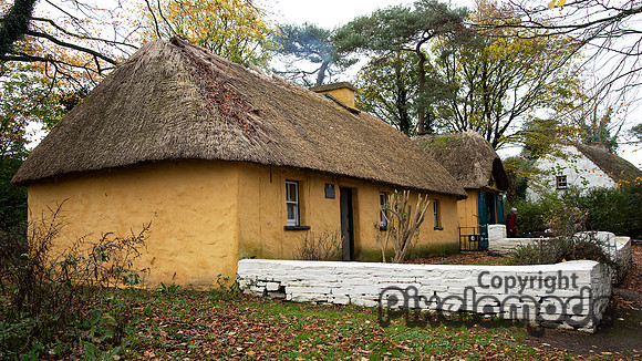 Thatched Roof