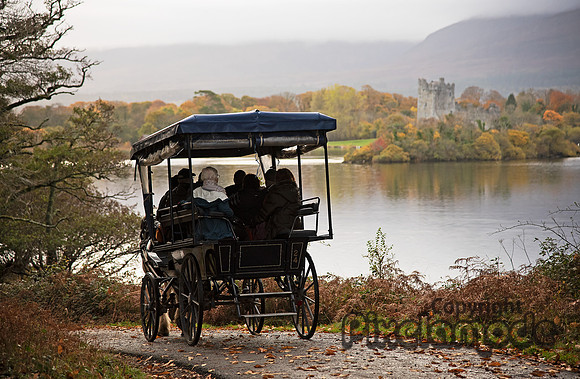 Killarney National Park 2