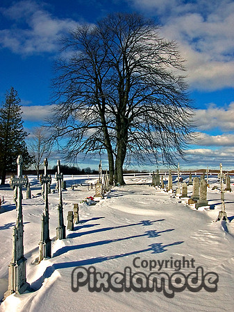 Winter Crosses